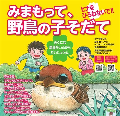 鳥 死亡|死亡した野鳥を見つけたら